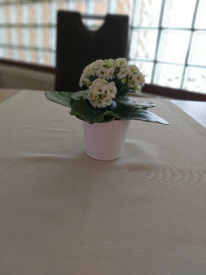 Horvath Fogado Panzio Hotel เซนเทนแดร ภายนอก รูปภาพ